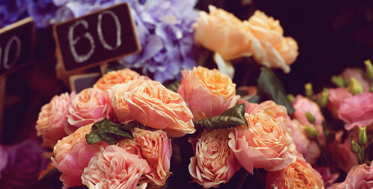 Parisian Petals